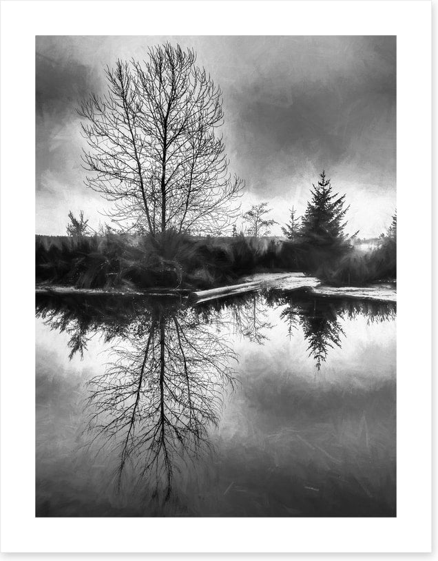 A monochrome morning