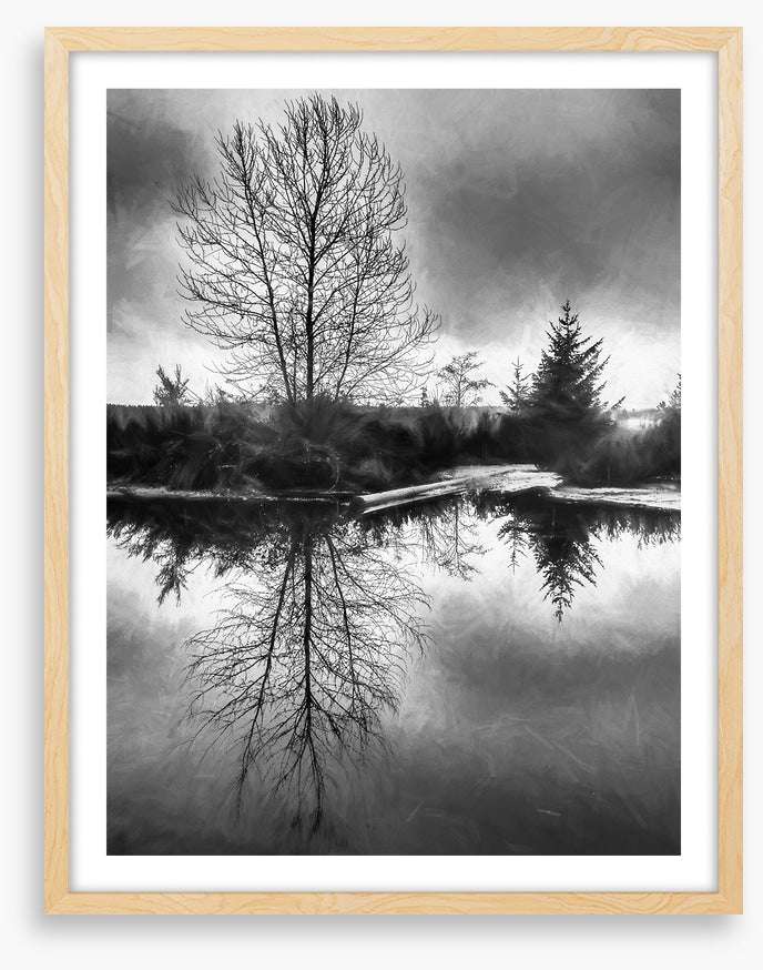 A monochrome morning