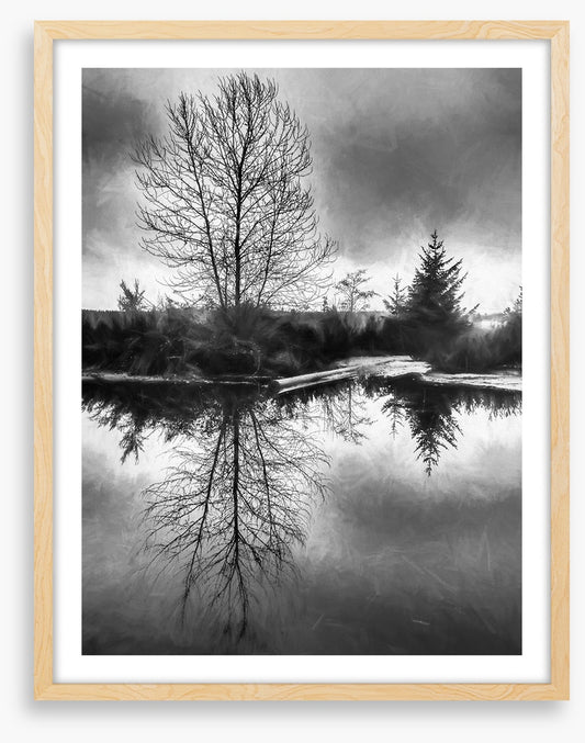 A monochrome morning
