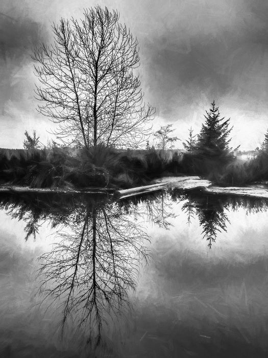 A monochrome morning