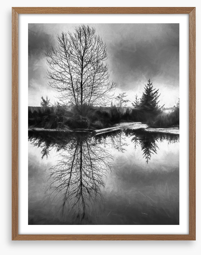 A monochrome morning
