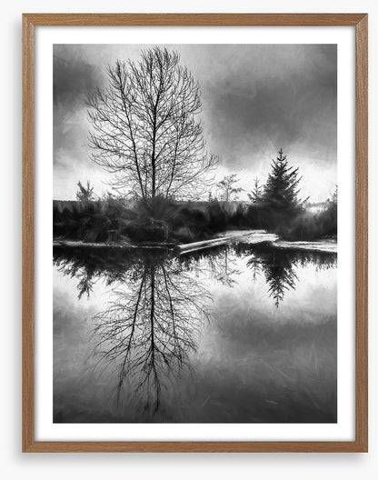 A monochrome morning