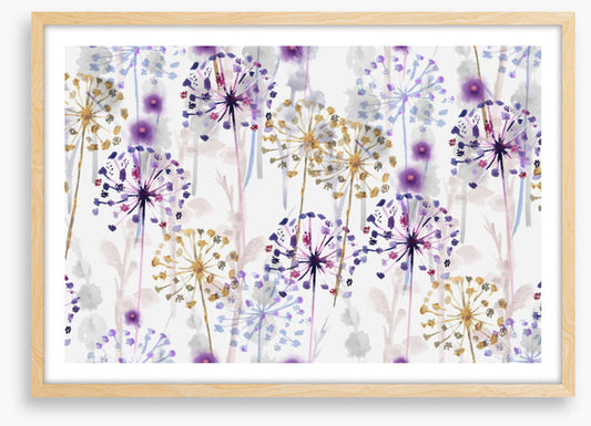 Wild dandelions