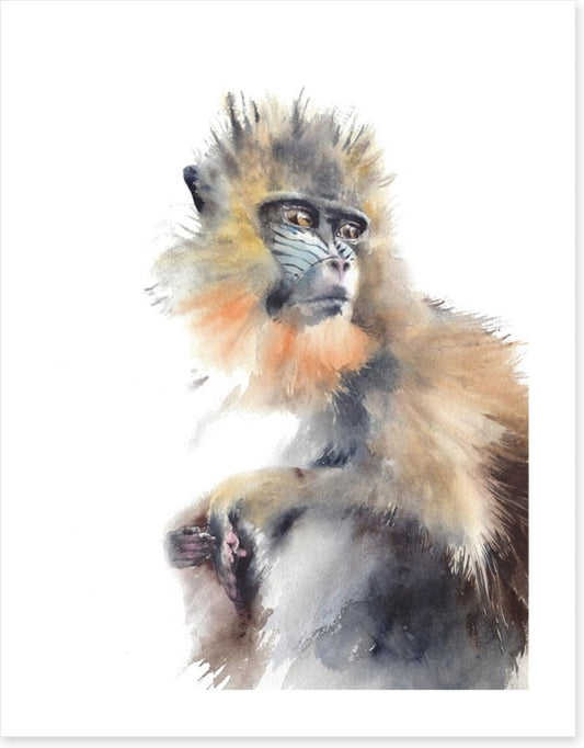 Animals