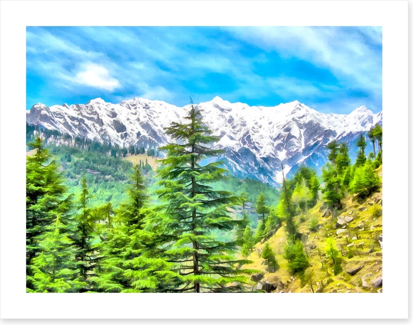 Mountainside pine
