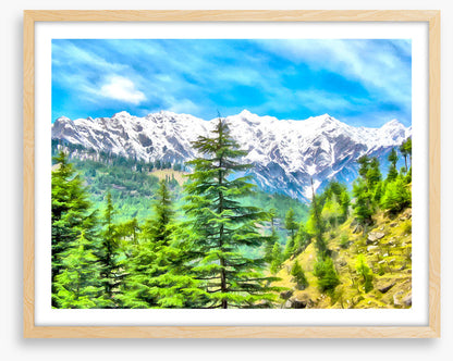 Mountainside pine