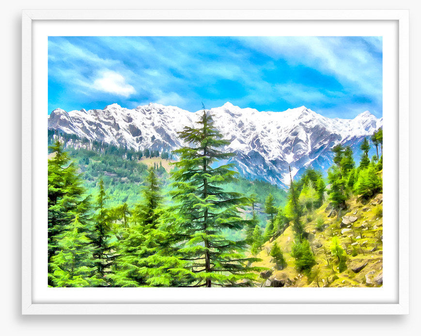 Mountainside pine