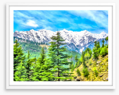 Mountainside pine