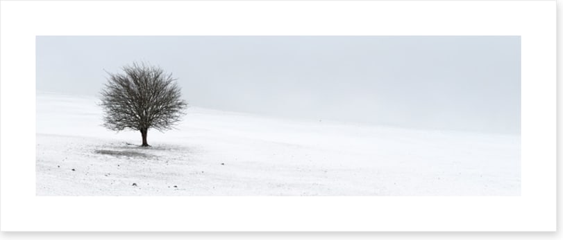 Solo in the snow