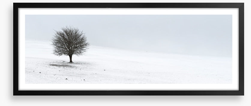 Solo in the snow