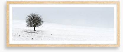 Solo in the snow