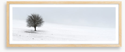 Solo in the snow