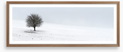 Solo in the snow