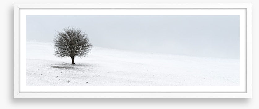 Solo in the snow