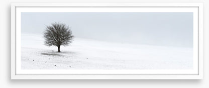 Solo in the snow