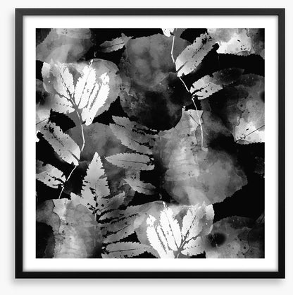 A leafy night
