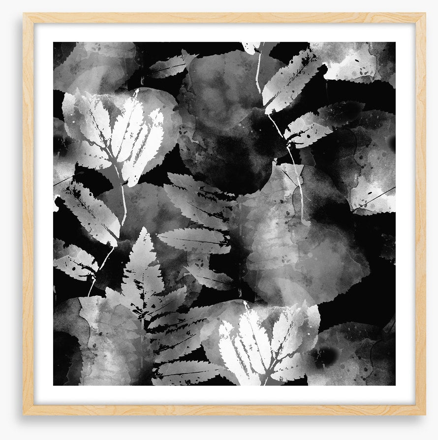 A leafy night