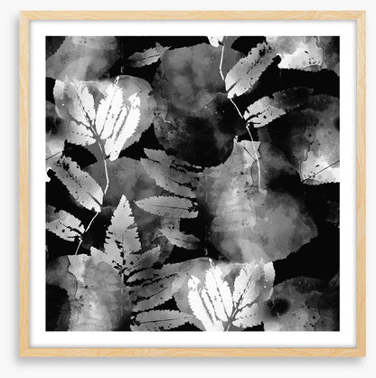 A leafy night