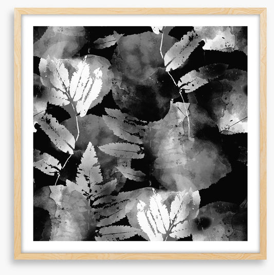 A leafy night