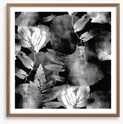 A leafy night