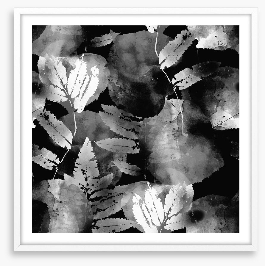 A leafy night