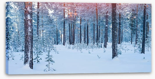 Forests
