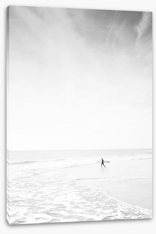 The silver surfer