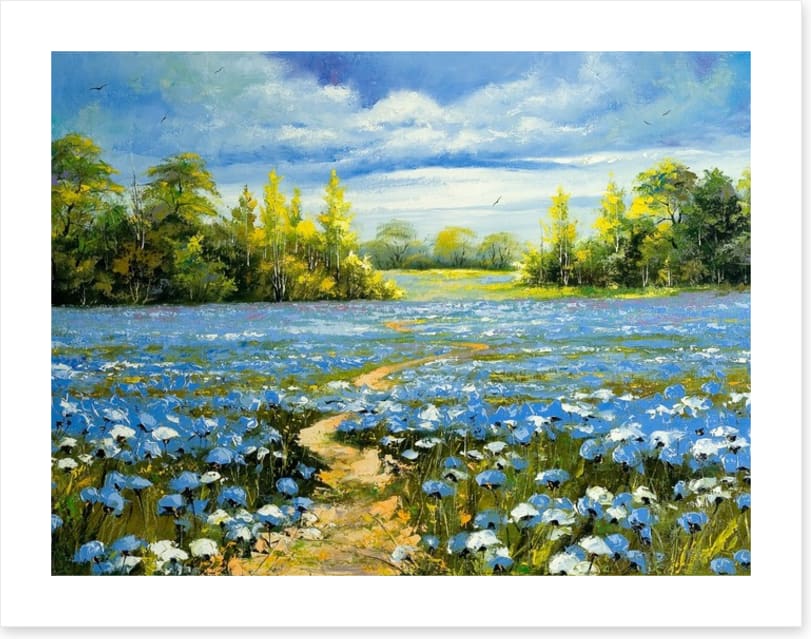 Blossoming cornflowers