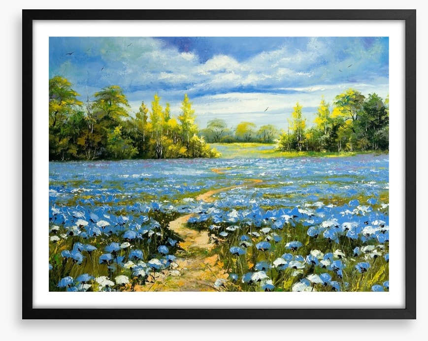 Blossoming cornflowers