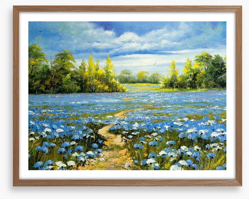 Blossoming cornflowers