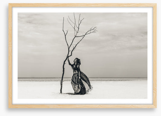 The tribal tree