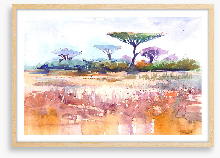 Savanna rain