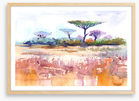 Savanna rain