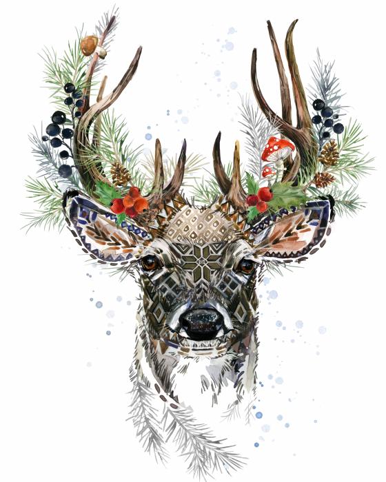 Forest reindeer