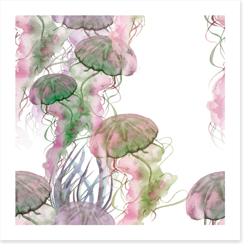 Jellyfish blush