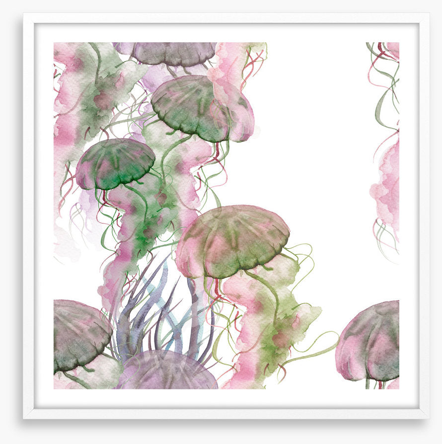 Jellyfish blush