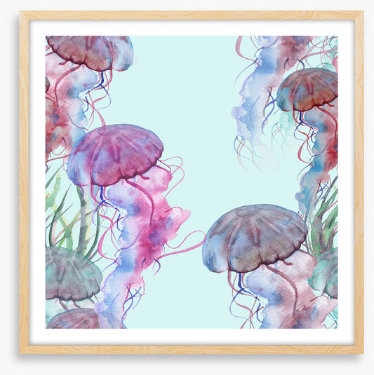 Jellyfish bloom