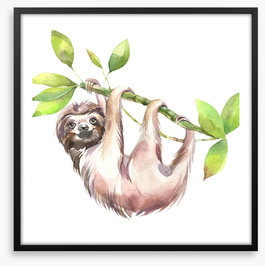 Smiling sloth