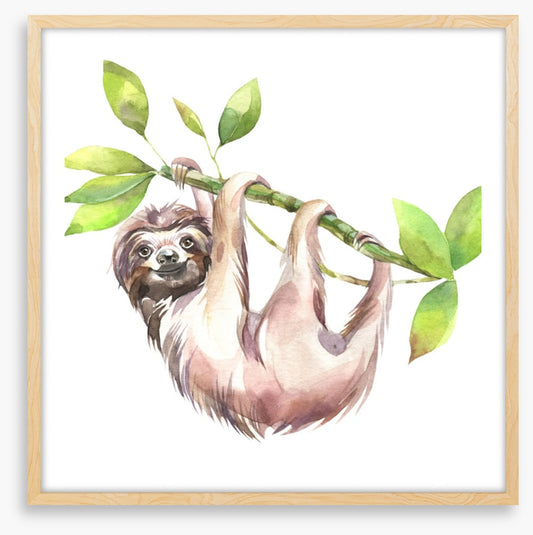 Smiling sloth