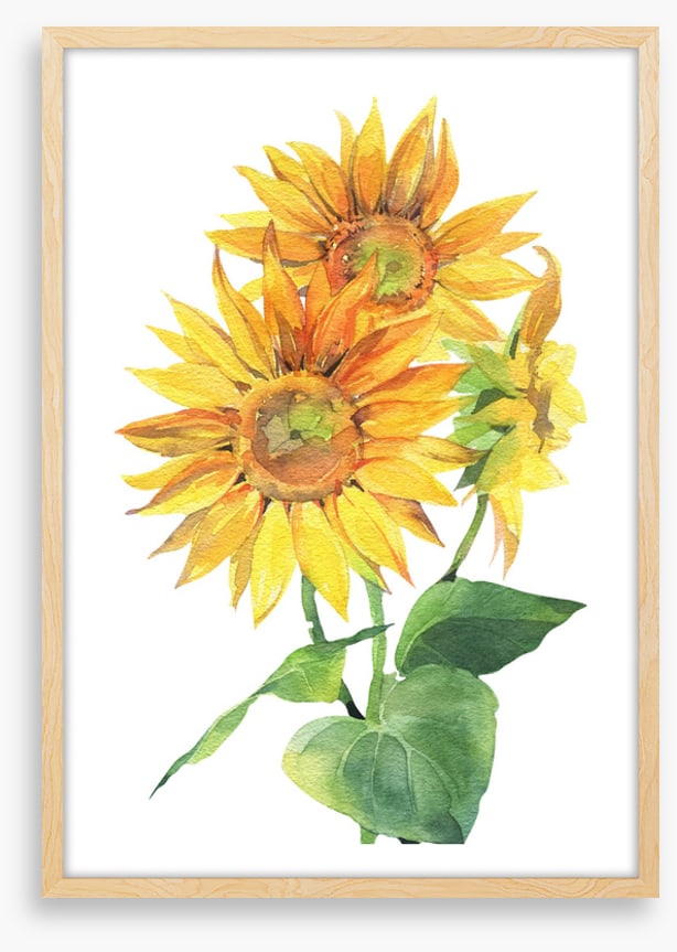 Sunflower trio
