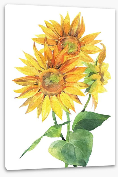 Sunflower trio