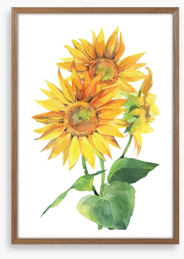 Sunflower trio