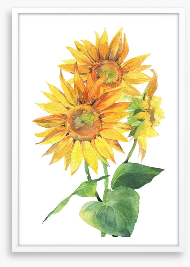Sunflower trio