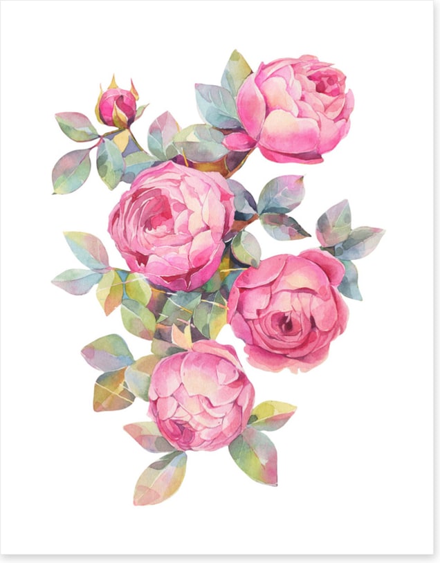 Pretty as a rose