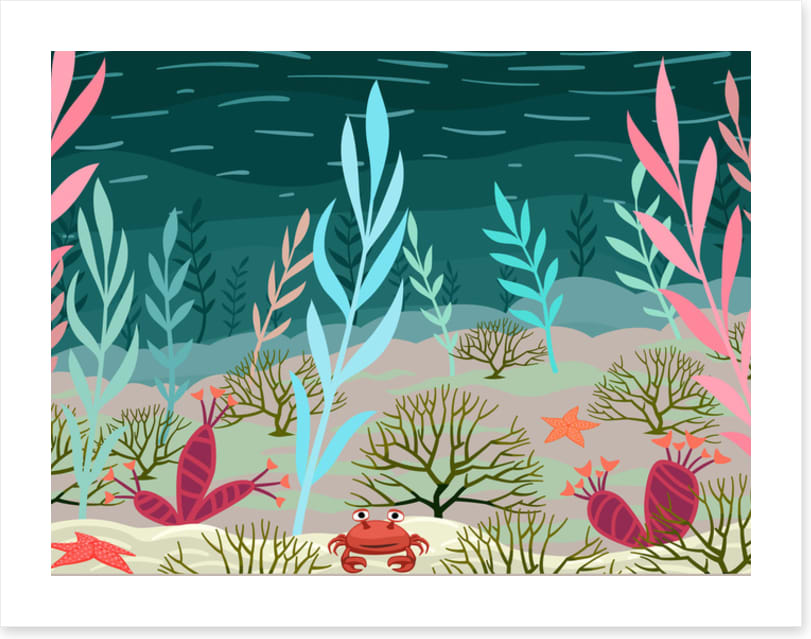 Under The Sea