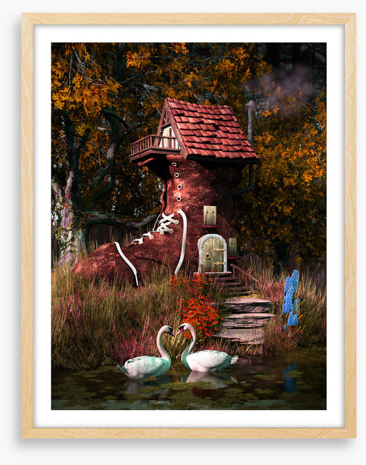 Shoehouse swans