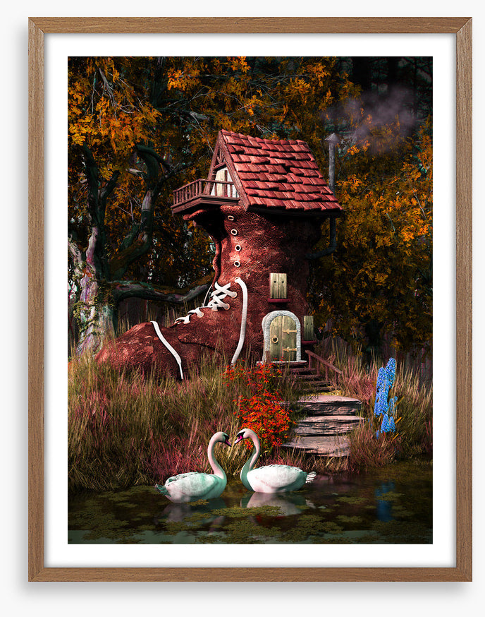 Shoehouse swans