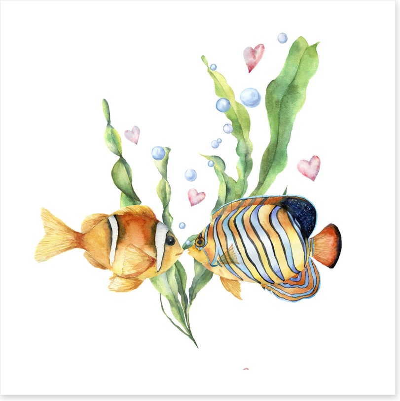Seaweed sentiment