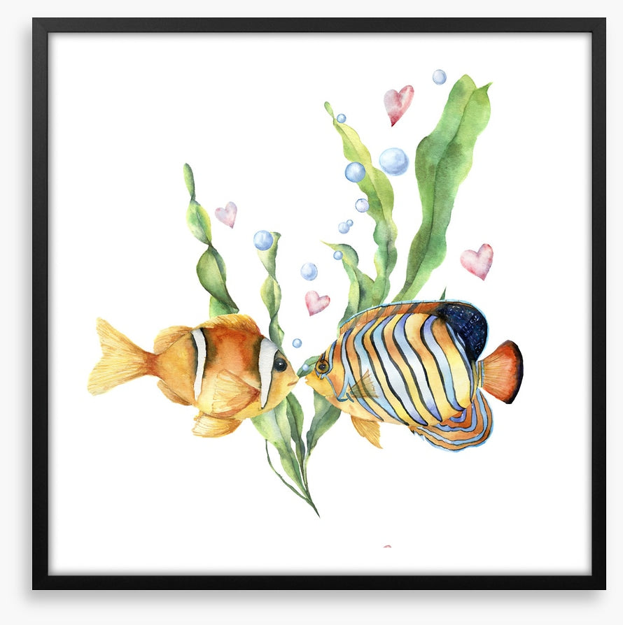 Seaweed sentiment