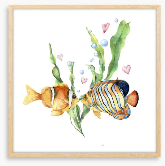 Seaweed sentiment